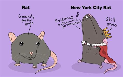 The Difference Between New York City Animals and Animals Everywhere ...