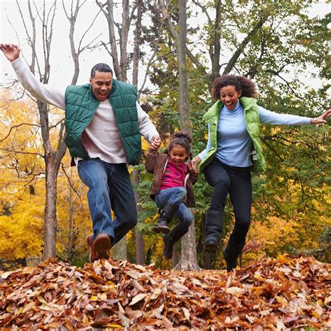 11 Things You Can Do With a Pile of Leaves – Emmett Realty Group