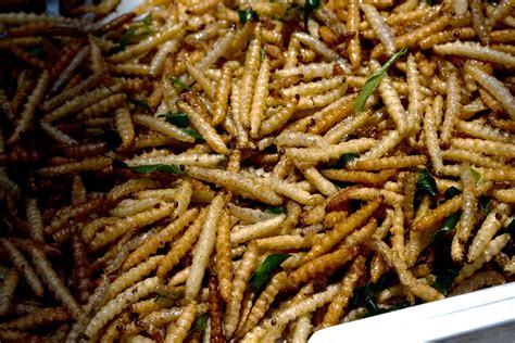 File:Bamboo worms food.jpg - Wikimedia Commons