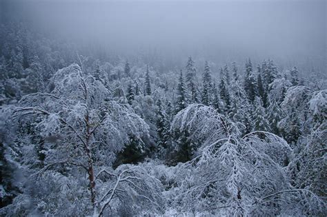 Free Stock photo of Snowy Winter Season | Photoeverywhere