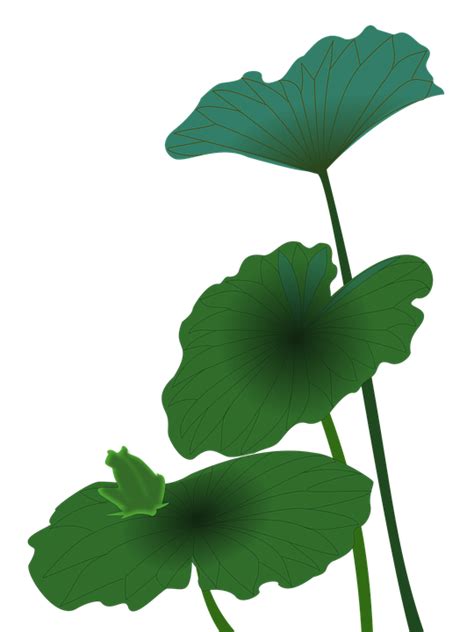 Lotus Frog Green · Free image on Pixabay