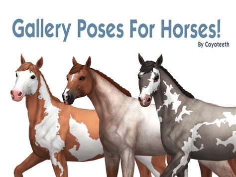 TS4 Horses on Tumblr