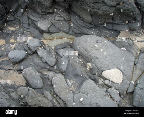 Dwyka tillite rocks on the beach near Mpame Point, Wild Coast, Transkei, Eastern Cape Stock ...