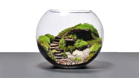 Terrarium Types - Baag.in