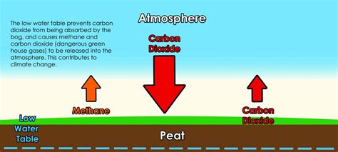 Peat - Climate Change Saver | Watershed Sentinel