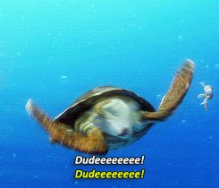 Sea Turtle GIFs - Get the best GIF on GIPHY