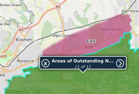 Surrey Hills AONB Boundary Review - West Horsley Parish Council