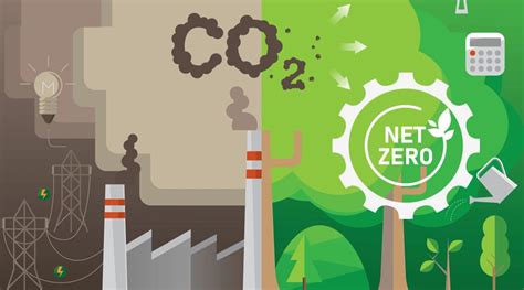 Carbon Offsetting is greenwash: why it is essential for the printing industry to work to zero ...