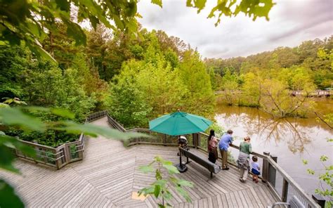 Step it Out: 6 Beautiful North Carolina Walking Trails You'll Love | Point of Blue | Walking ...