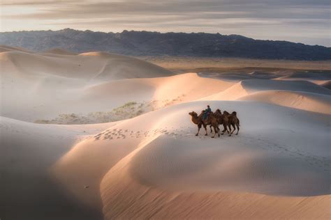 7 Desert Destinations In Asia For Your Next Nomadic Adventure | Tatler Asia