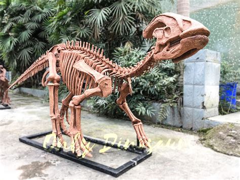 Complete Dinosaur Fossils Parasaurolophus | Only Dinosaurs