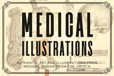 100 Vintage Medical Illustrations By Dene Studios | TheHungryJPEG.com