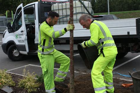 Tree Planting Season Begins