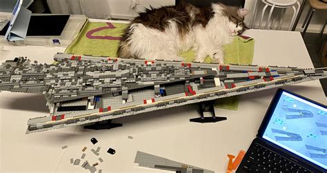 Building Lego Super Star destroyer (with alternative bricks) - cat for size comparison : r/lepin