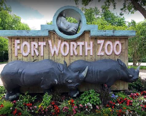 Fort Worth Zoo - Visit Plano