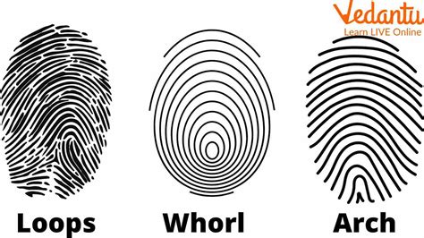 Are Fingerprints unique? Reasons and Utility of Fingerprints.