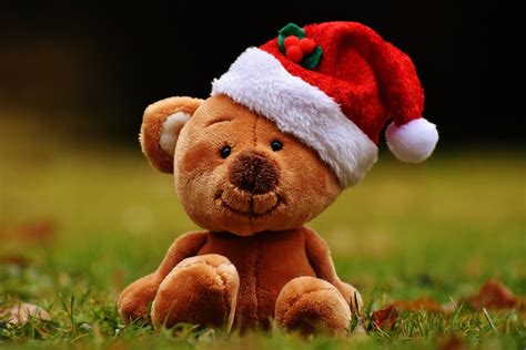 Free Images : christmas, teddy bear, santa hat, funny, soft toy, stuffed toy 5858x3906 ...