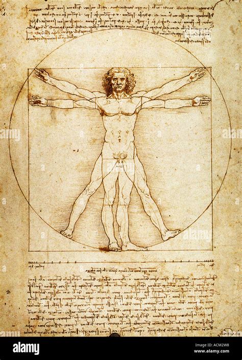 Leonardo Da Vinci Vitruvian Man Drawing