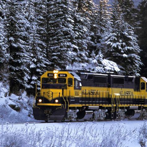 Alaska Railroad in Alaska - Alaska Tours in 2021 | Alaska tours, Alaska travel, Alaska railroad