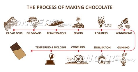 What Is The Process Of Making Chocolate？6 Steps