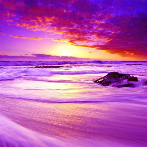 purple beach sunset 4k iPad Pro Wallpapers Free Download