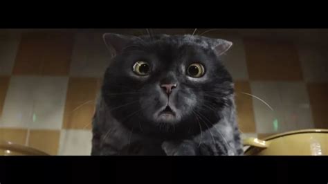 Sainsbury's Christmas advert brings back Mog the Cat! Is it the best ...