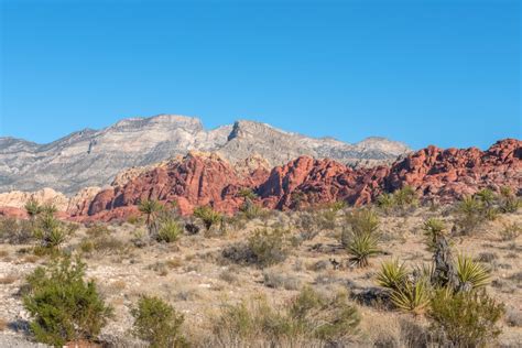 Scenery Photos-sunrise at red rock canyon mojave desert nevada