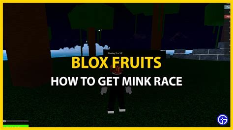 How To Get Mink V3 In Blox Fruits - Gamer Tweak