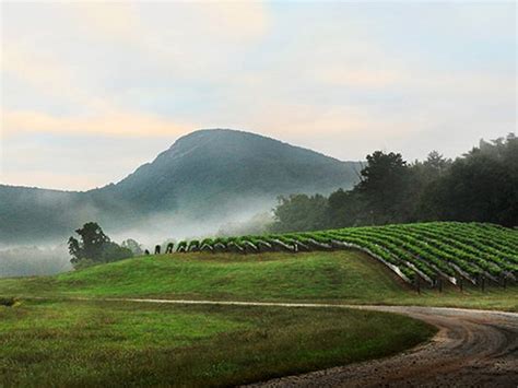 Yonah Mountain Vineyards & Winery | Explore Georgia