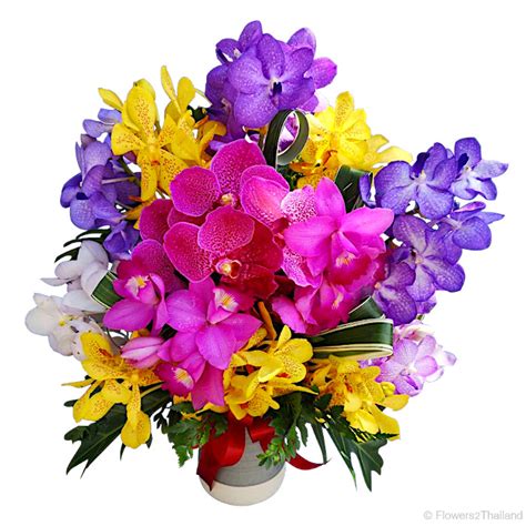 Cheer Up Orchids | Flowers2Thailand