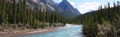 Information & Facilities - Kootenay Plains Ecological Area | Alberta Parks