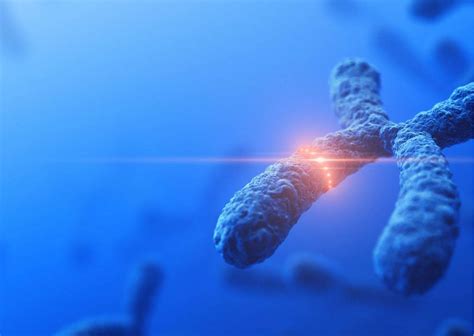 Epigenetics Inheritance