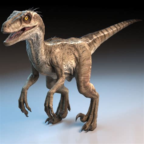 raptor dinosaur 3d model Jurassic Park Series, Jurassic Park Toys, Dinosaur Images, Dinosaur ...