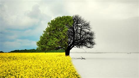 The four seasons of the year: spring, summer, autumn (fall) and winter | Live Science