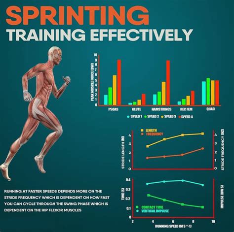 SPRINTING TRAINING EFFECTIVETY | GUIDE