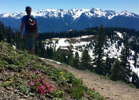 Mount Angeles Trail Hiking Trail, Port Angeles, Washington