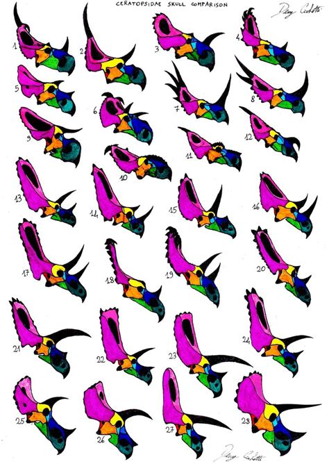 Ceratopsidae skull comparison - 1Spinops 2Diabloceratops 3Centrosaurus ...