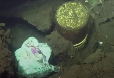 Depressing find at the bottom of the Mariana Trench is a warning to the ...