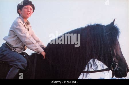 THE BLACK STALLION USA 1979 Carroll Ballard Alec Ramsey (KELLY RENO ...