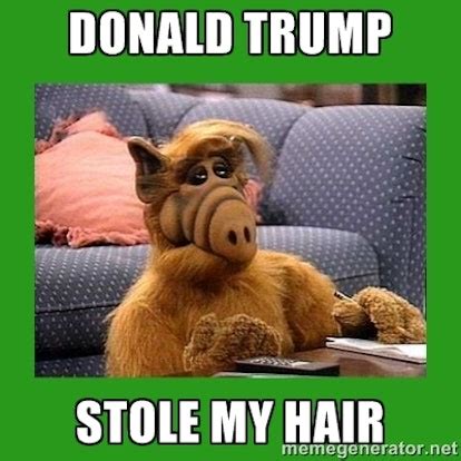 16 Donald Trump Hair Memes So Funny You’ll Actually Be Grateful He’s Running For President