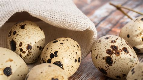 15 Facts You Need To Know About Eating Quail Eggs