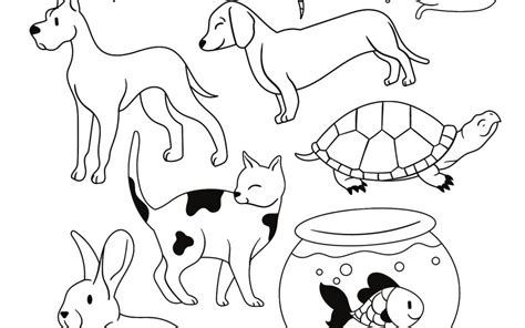 Just For Fun! A Pet Coloring Sheet | Sir Woofalot