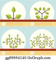 2 Dichotomous Branching Plants Banner Clip Art | Royalty Free - GoGraph
