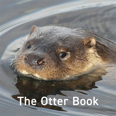 The Otter Book — Great English Outdoors