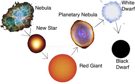 Life Cycle Of A Star Worksheet