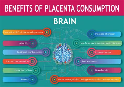 Placenta Pills | Vitamin Supplements – Vitamin Placenta