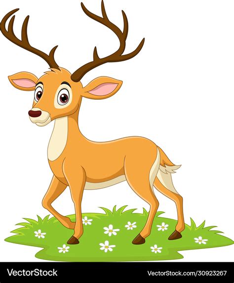 Cartoon deer in grass Royalty Free Vector Image