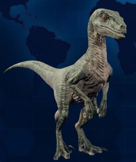 Velociraptor Jurassic World Evolution Wiki Fandom Jurassic World | My XXX Hot Girl