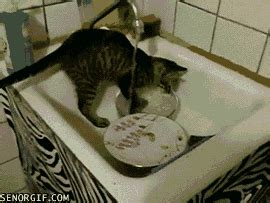 Dish Washing GIFs - Find & Share on GIPHY