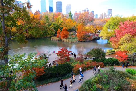 Thoughts From My Camera: Central Park Fall Colors